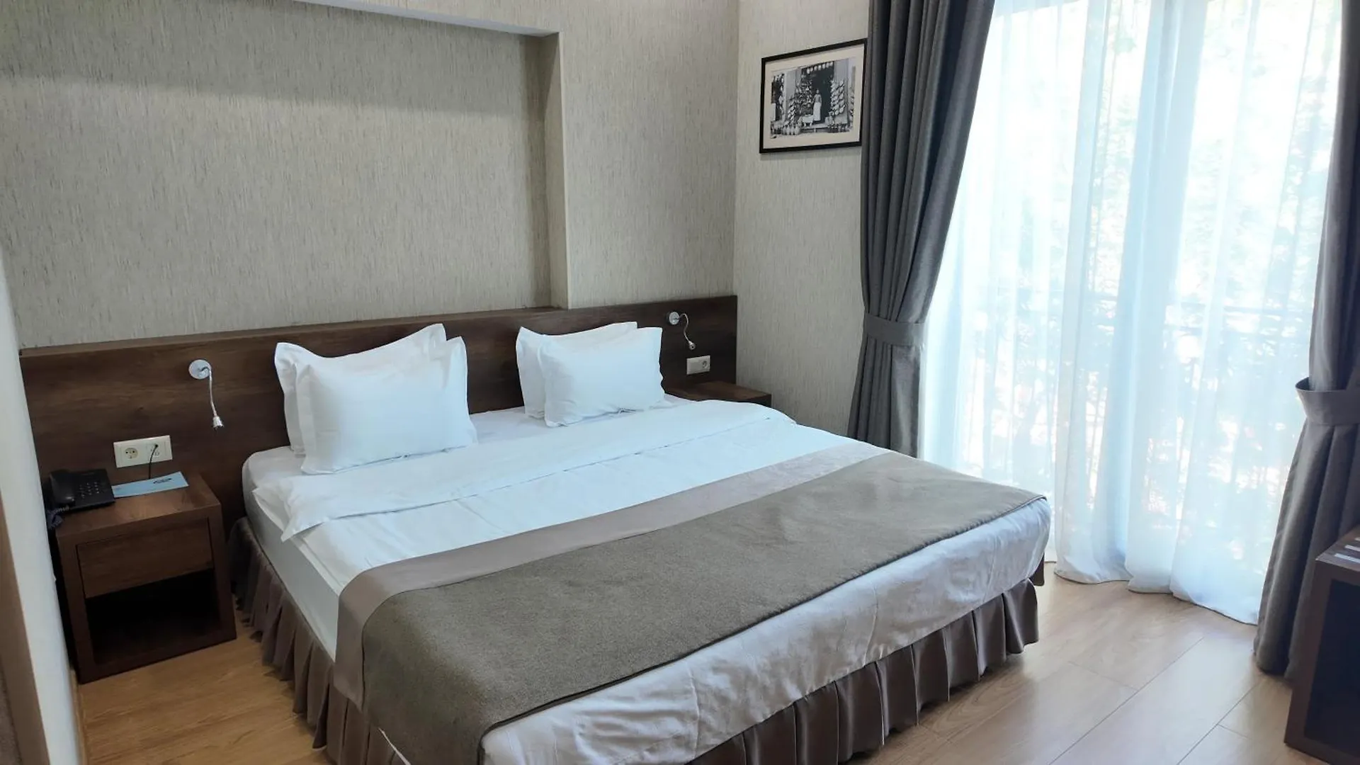 Metekhi Line Hotel Τυφλίδα 4*,  Γεωργία